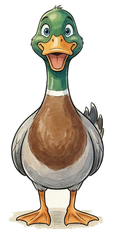 Duck